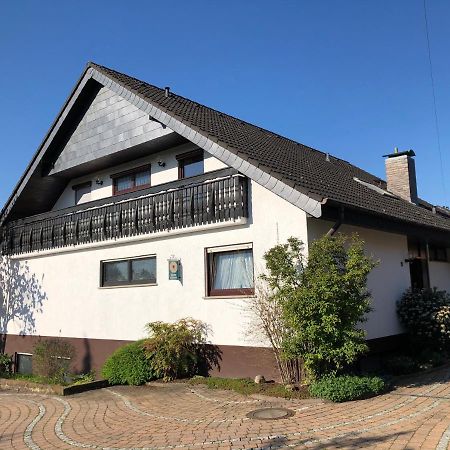 Appartamento Nickel Haus Edenkoben Esterno foto