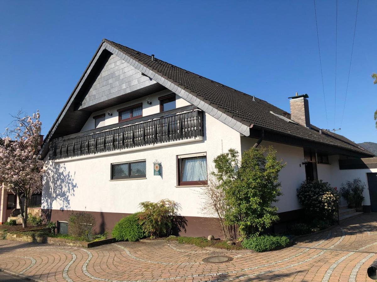 Appartamento Nickel Haus Edenkoben Esterno foto