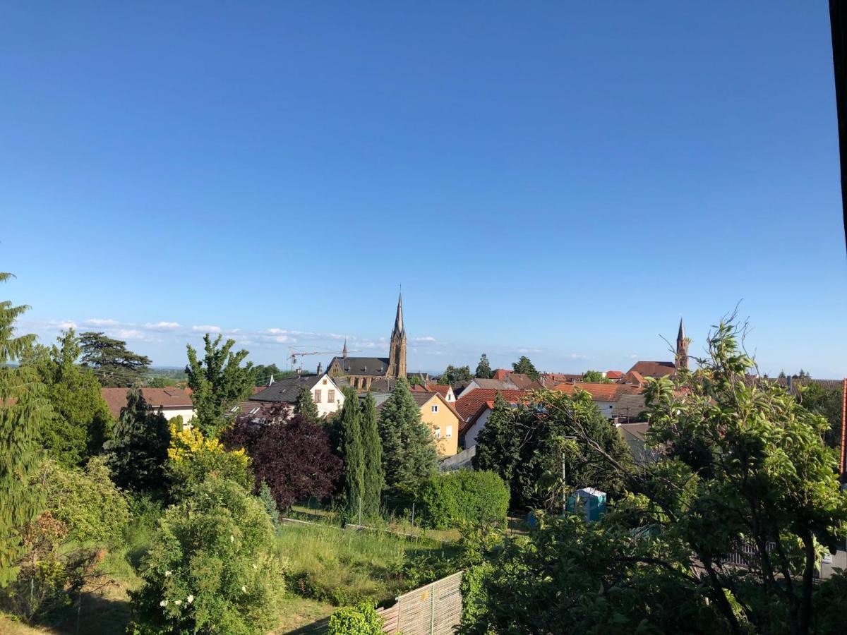 Appartamento Nickel Haus Edenkoben Esterno foto