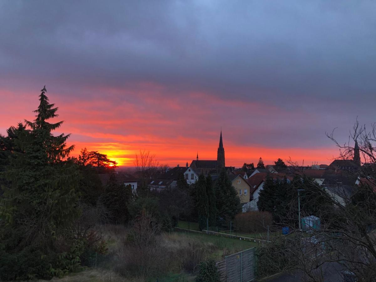 Appartamento Nickel Haus Edenkoben Esterno foto